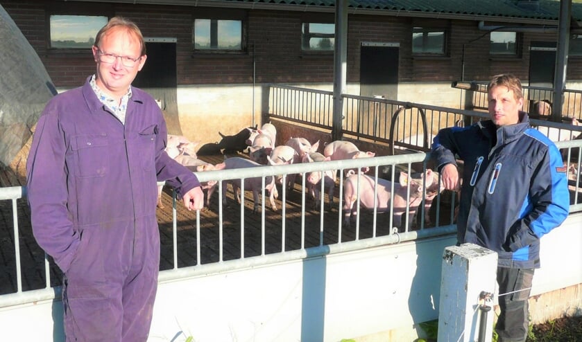 Europarlementslid Bert-Jan Ruissen (l) bij biovarkensboer Cor Rijneveld (r) op bezoek.