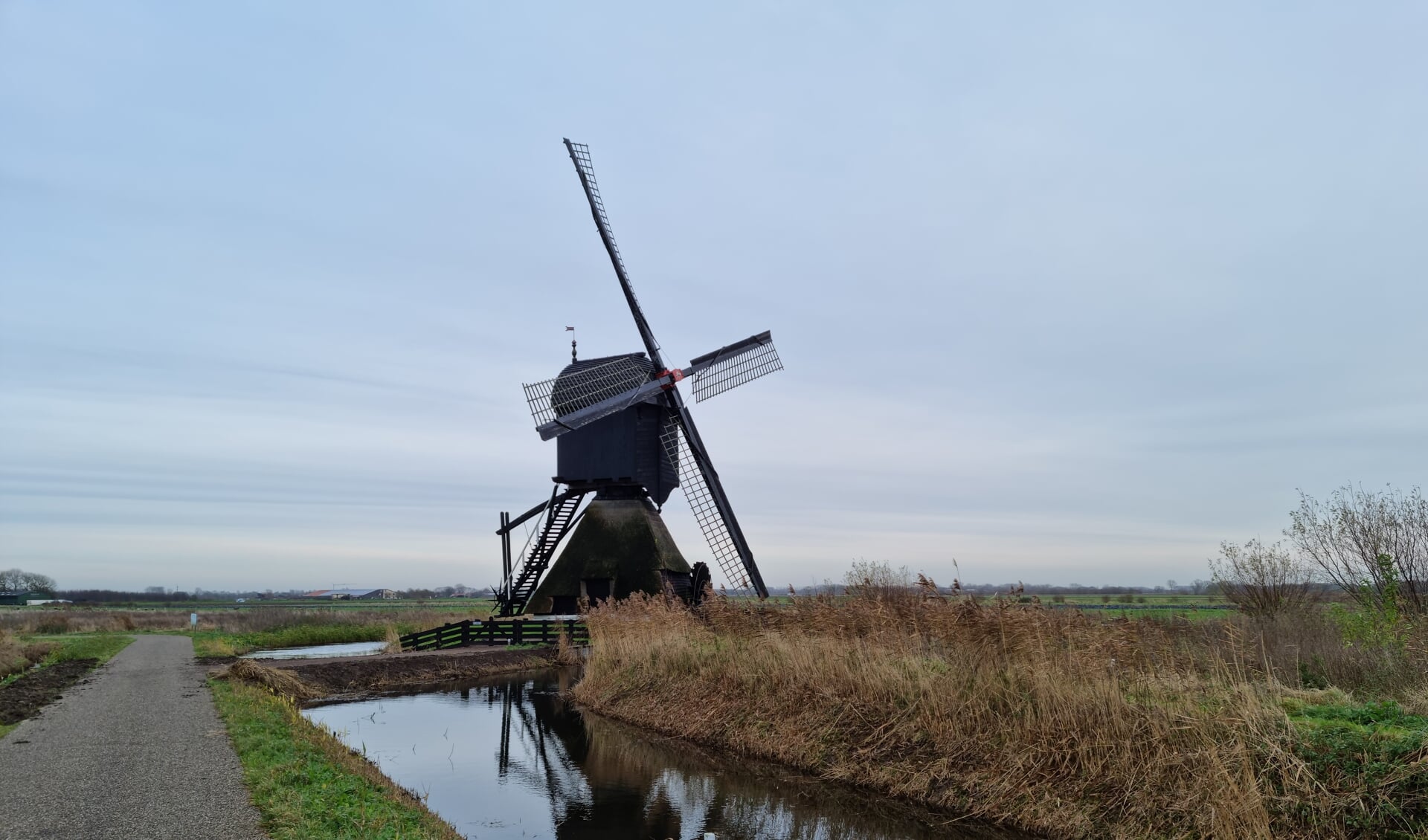 • De Uitwijkse molen staat in de rouwstand.