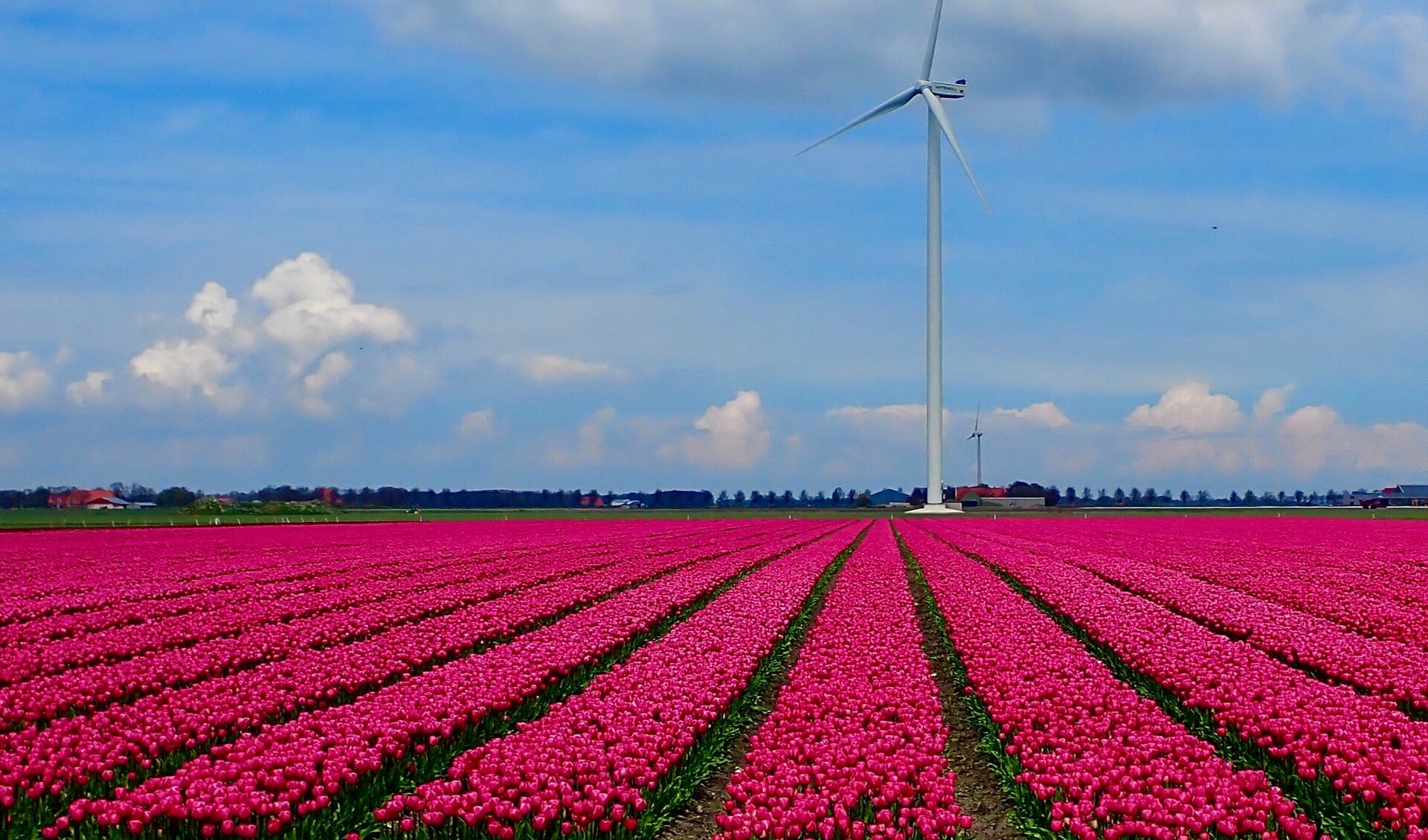 Ter illustratie: windmolens in de Wieringermeer.