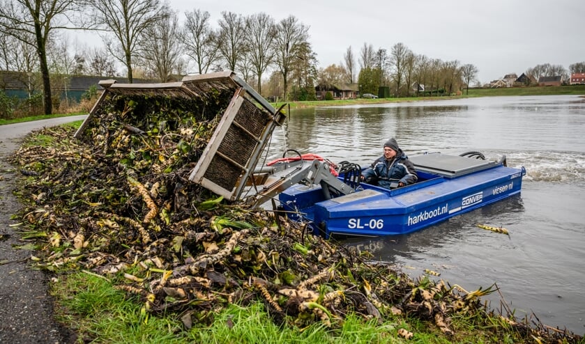 • De harkboot verwijdert overtollige waterplanten uit de grachten rond Nieuwpoort.