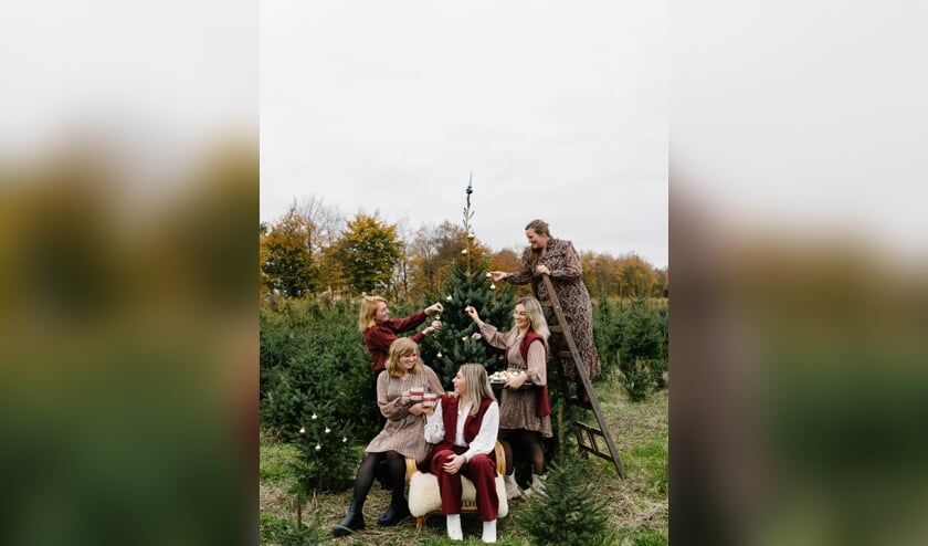 • De vijf ondernemers van de Kerstmarkt in Tienhoven aan de Lek.