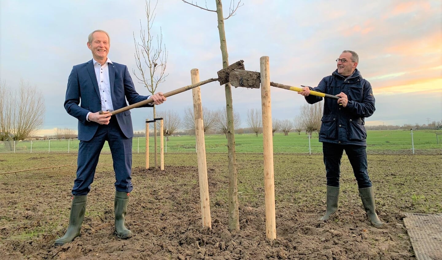 • De eerste bomen werden geplant door de wethouders Johan Quik en Teunis Jacob Slob.