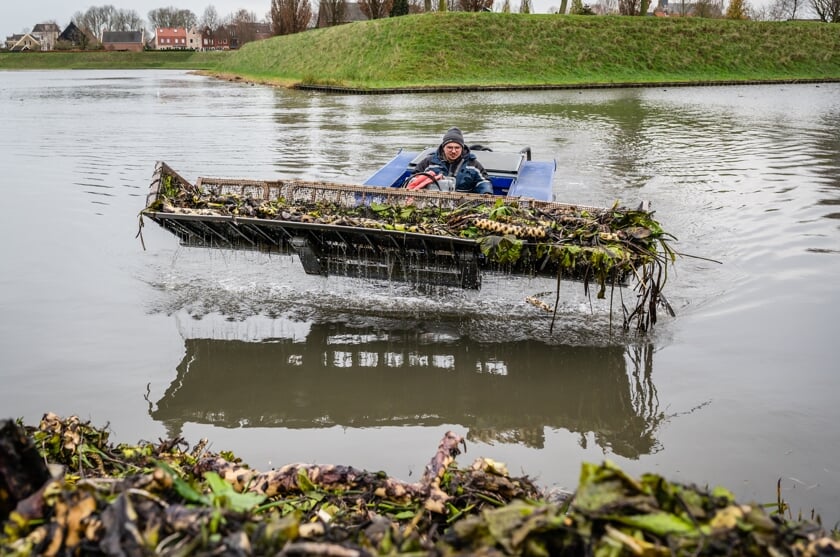 • De harkboot verwijdert overtollige waterplanten uit de grachten rond Nieuwpoort.