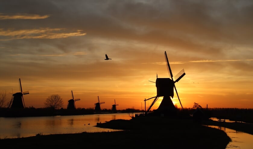 <p>• De molens in Kinderdijk.</p>