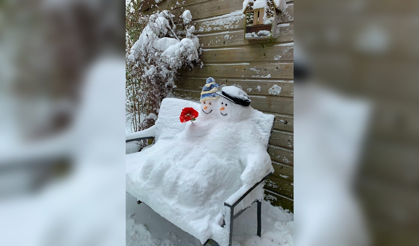 Hierbij mijn foto van twee sneeuwpoppen op een bankje die ik afgelopen week gemaakt heb.