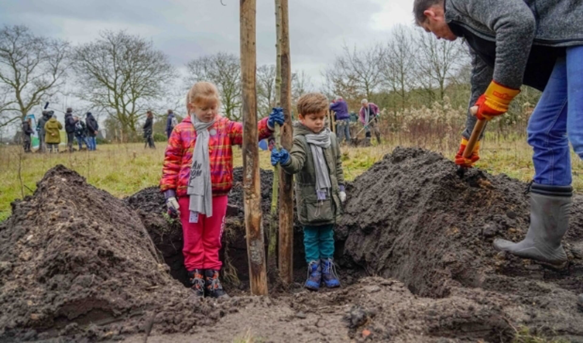 Plan Boom Utrecht deelt met steun van provincie Utrecht 10.000 gratis boompjes uit aan inwoners. Foto: Plan Boom, Jack Tillmanns