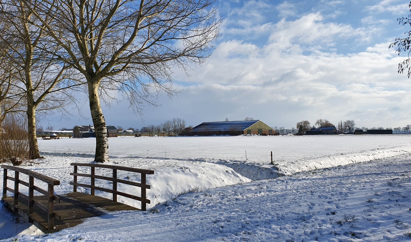 Winterfoto's uit het park in Andel.