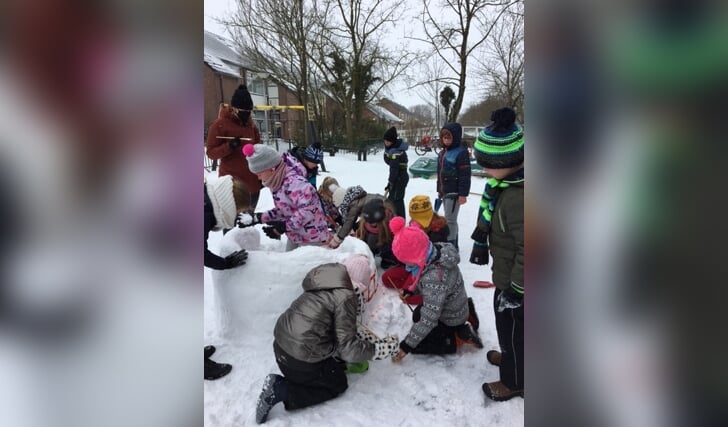 • Sneeuwpret op De Rank in Meerkerk.