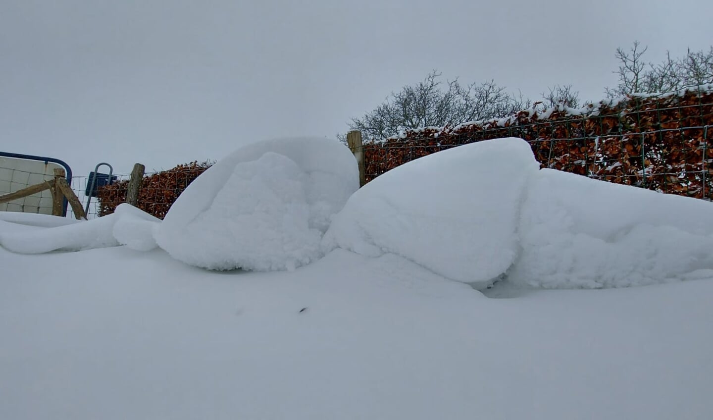 • Sneeuwpret in Lexmond.