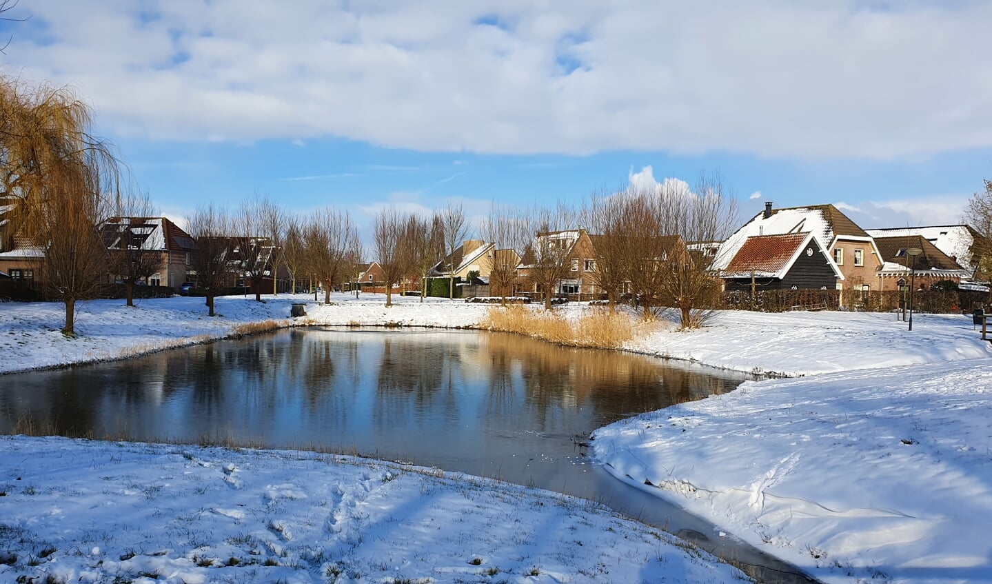 Winterfoto's uit het park in Andel.