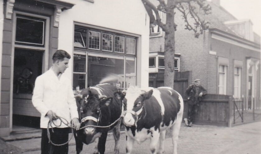 <p>Ook bijzondere oude foto's van de Linschotense dorpsslagerij van Verweij zijn in de historische YouTube-presentatie opgenomen. </p>