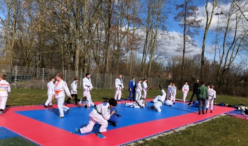 <p>Hier de groep 10- tot 14-jarigen aan het werk, maar ook oudere judoka's - tot 27 jaar- konden buiten de mat op. <span class="Fotocredit" cstyle="Fotocredit" style="color: rgb(0, 0, 0);">Foto: Irma Rijkse</span></p>