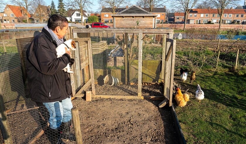 <p>• Hobbydieren horen volgens de gemeente niet thuis op volkstuintjes. </p>