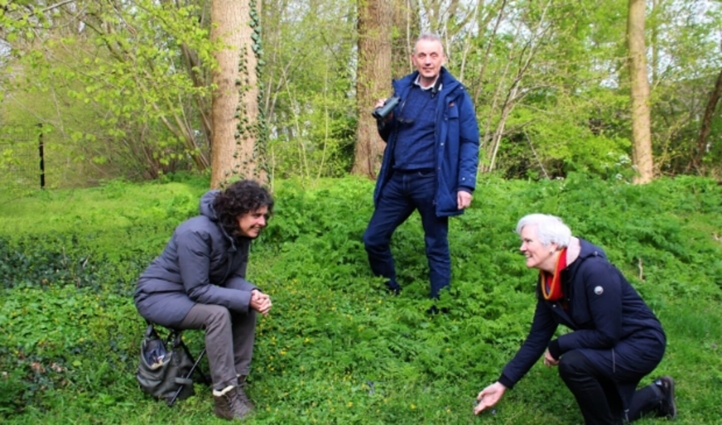 Ivon Vrolijk, Gerrie Abel en Carin Laarman doen mee aan de BioBlitz: vastleggen van alles dat kruipt, vliegt, groeit en bloeit.