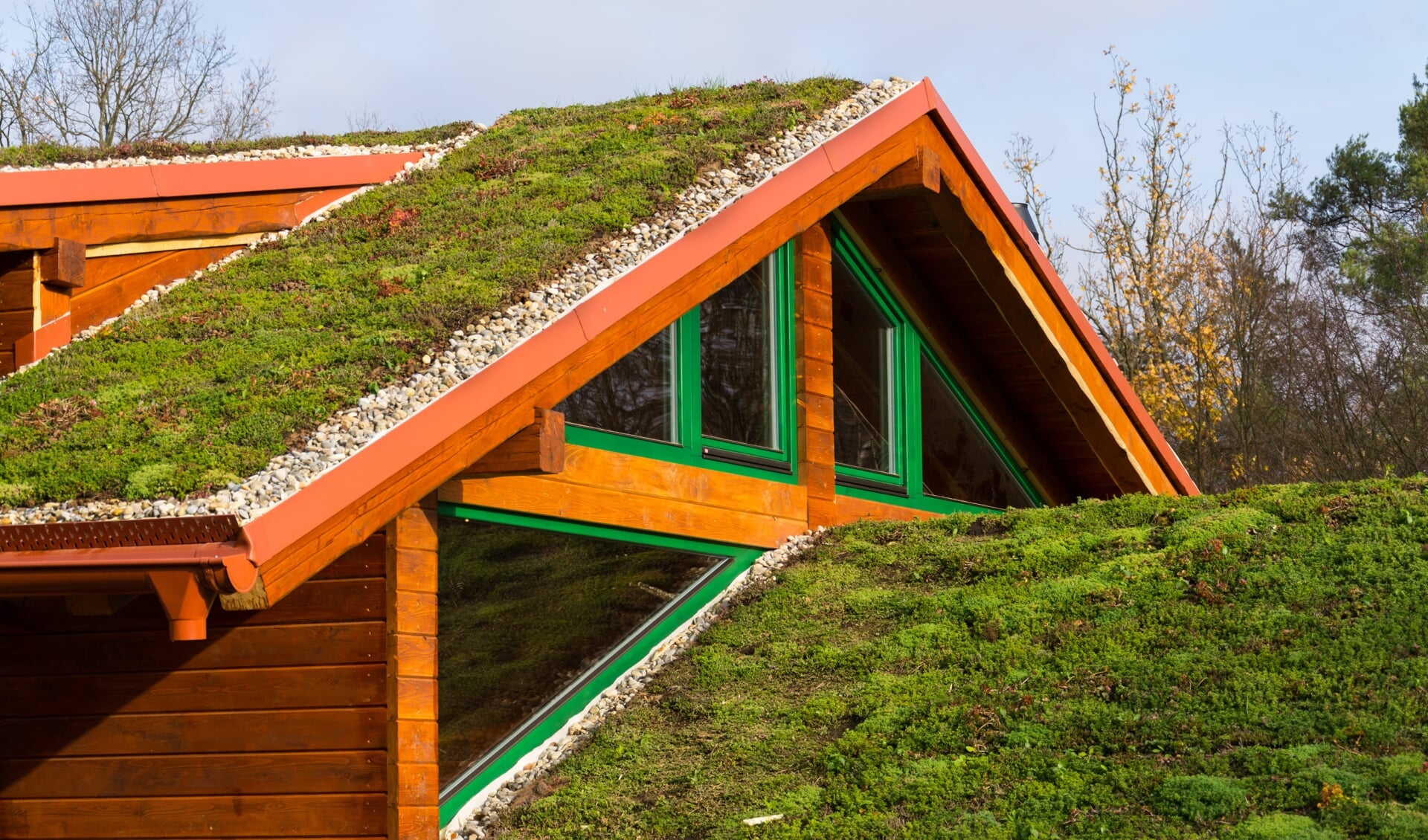 groen dak duurzaam duurzaamheid