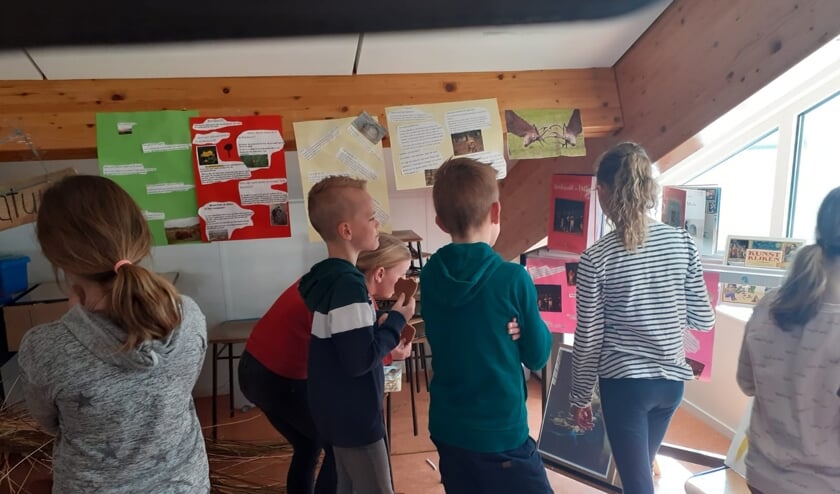 De kinderen bekijken hun eigen museum.