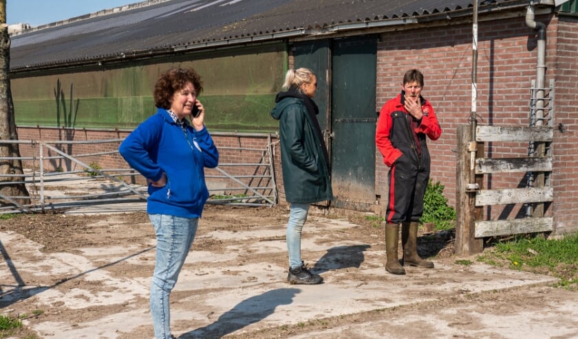 Boerderij Safari bij Kaasboerderij Van Rossum Vianen