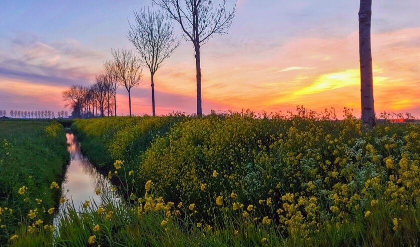 <p>Zonsondergang in Wijk en Aalburg.</p>