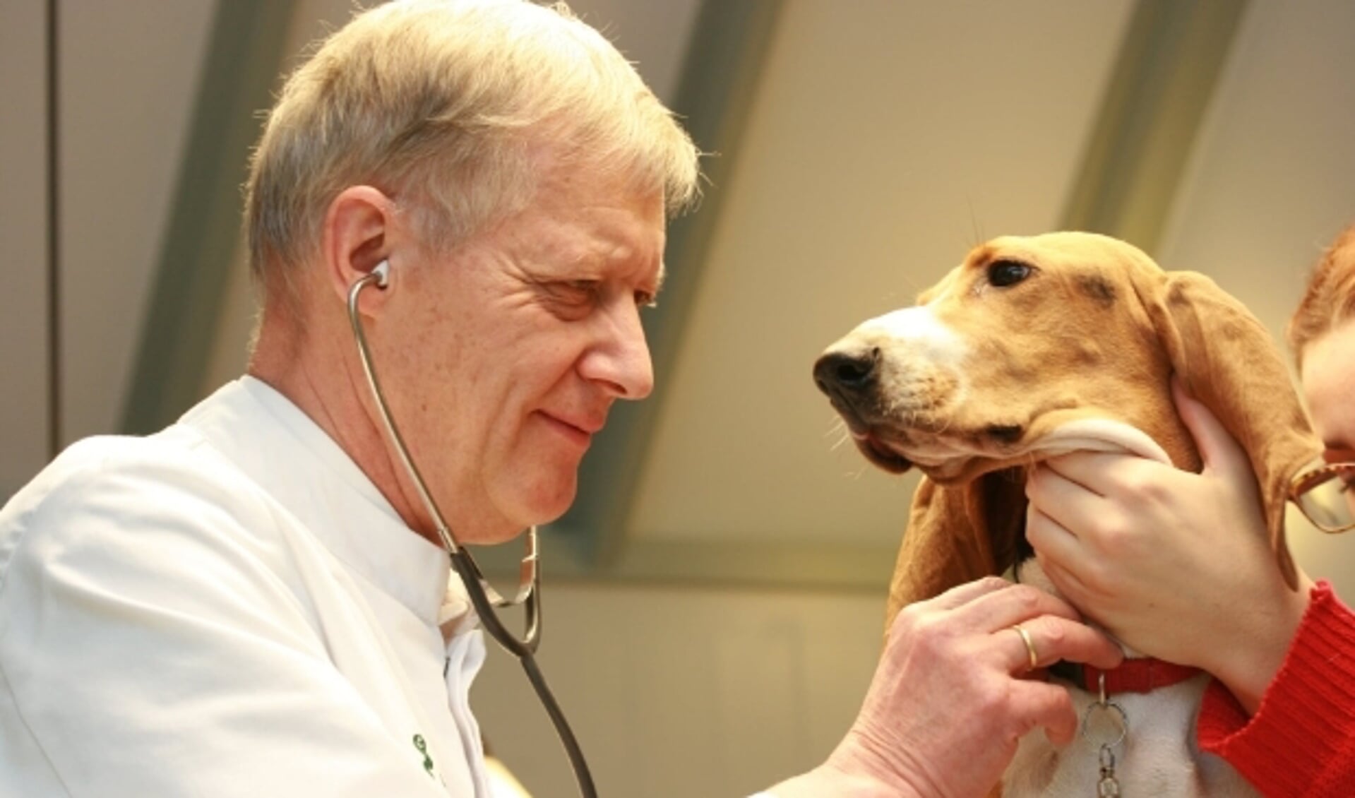 Dierenarts Wouter Smole onderzoekt één van zijn 'patiënten' tijdens het spreekuur. De dierenartsenpraktijk sluit na 45 jaar. Foto: Dierenartsenpraktijk Smole  