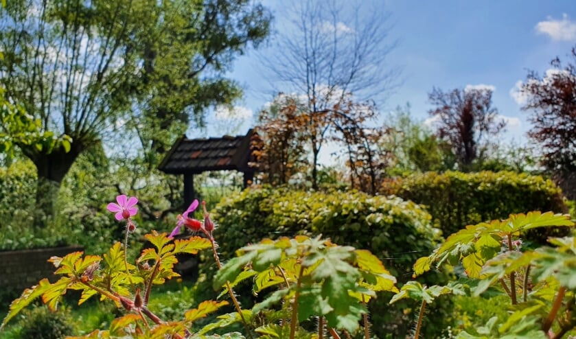 <p>De tuin van het Duyls Bos.</p>