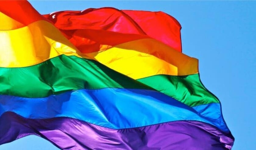 <p>• De regenboogvlag.</p>