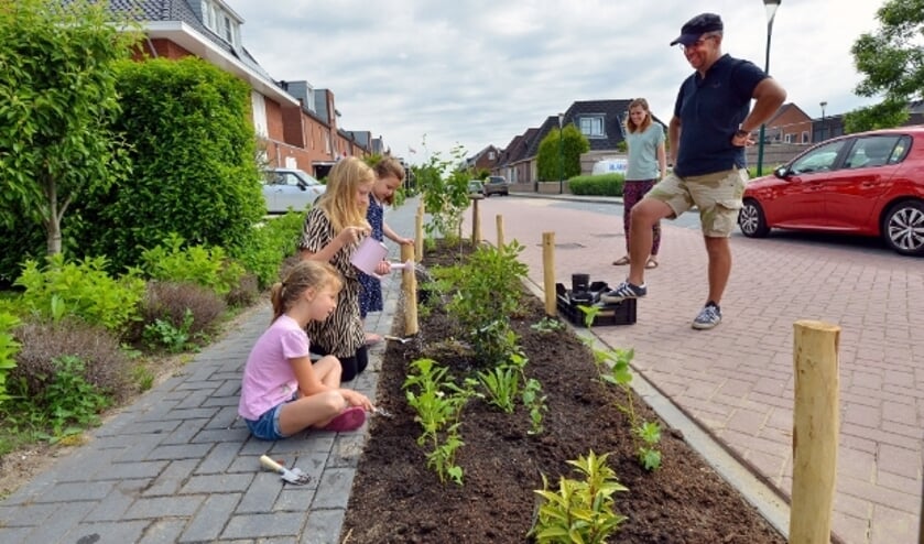 <p>Ninthe, Jasmijn en Sam geven de nieuwe plantjes water terwijl buurvrouw Daniëlle en Chris Coppens toekijken. Foto: Paul van den Dungen</p>