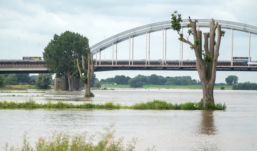 Hoog water in de Lek