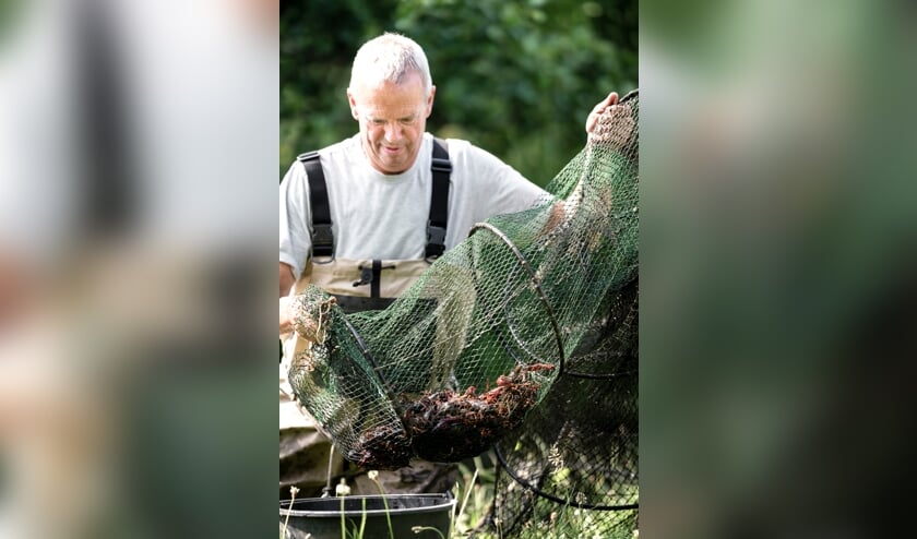 • Beroepsvisser Jan de Waard met een fuik vol rivierkreeften.