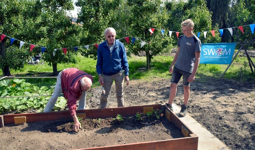 <p>Gerard van den Berg (l) en Piet van der Linden (m) openen de SWOM-moestuin van 't Bakkershuis door het planten van aardbeienplantjes.</p>