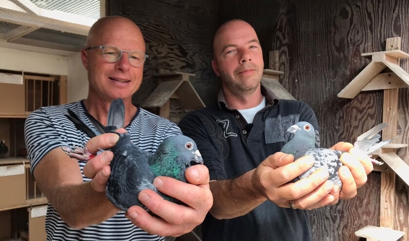 • Duivenbroers André en Eddie Holleman.