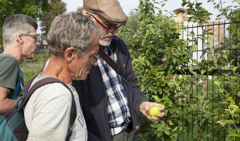 <p>Alle fruitrassen werden uitgebreid bekeken en vastgelegd.</p>