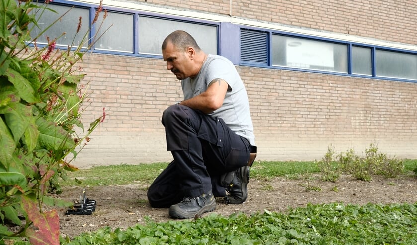 <p>• Rattenvanger Mark bij de vallen. Om veiligheidsredenen plaatst hij de klemmen normaal gesproken in plastic dozen en niet zoals afgebeeld.</p>