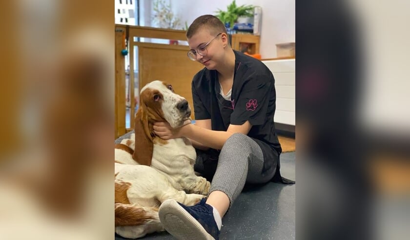 <p>Dakota uit Krimpen aan den IJssel heeft een hulphond nodig en is daarvoor een crowdfunding gestart. </p>