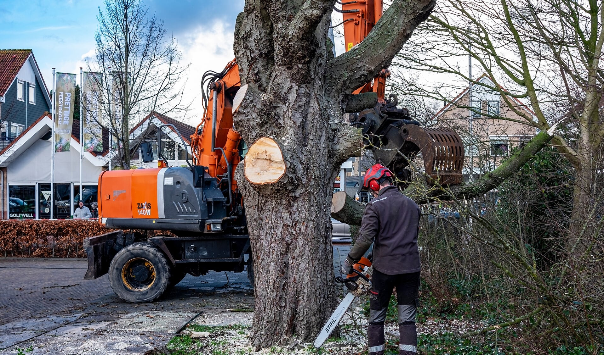 Beeldbepalende boom in Ouderkerk aan den IJssel gekapt.