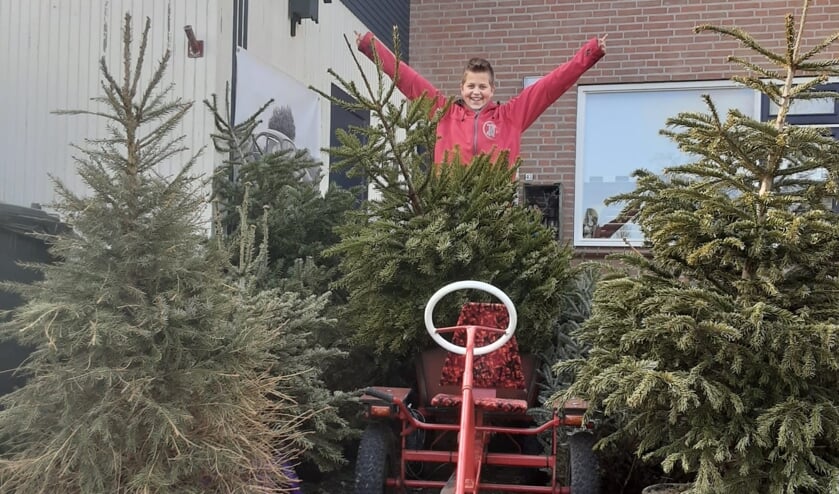 <p>• Kinderen zamelen soms hele partijen kerstbomen in.</p>