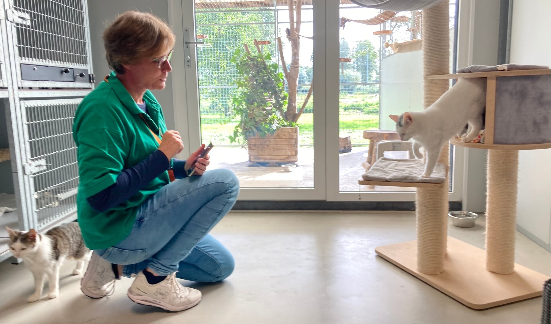 • Vrijwilliger Karin de Haas met katten Icey en Molly.