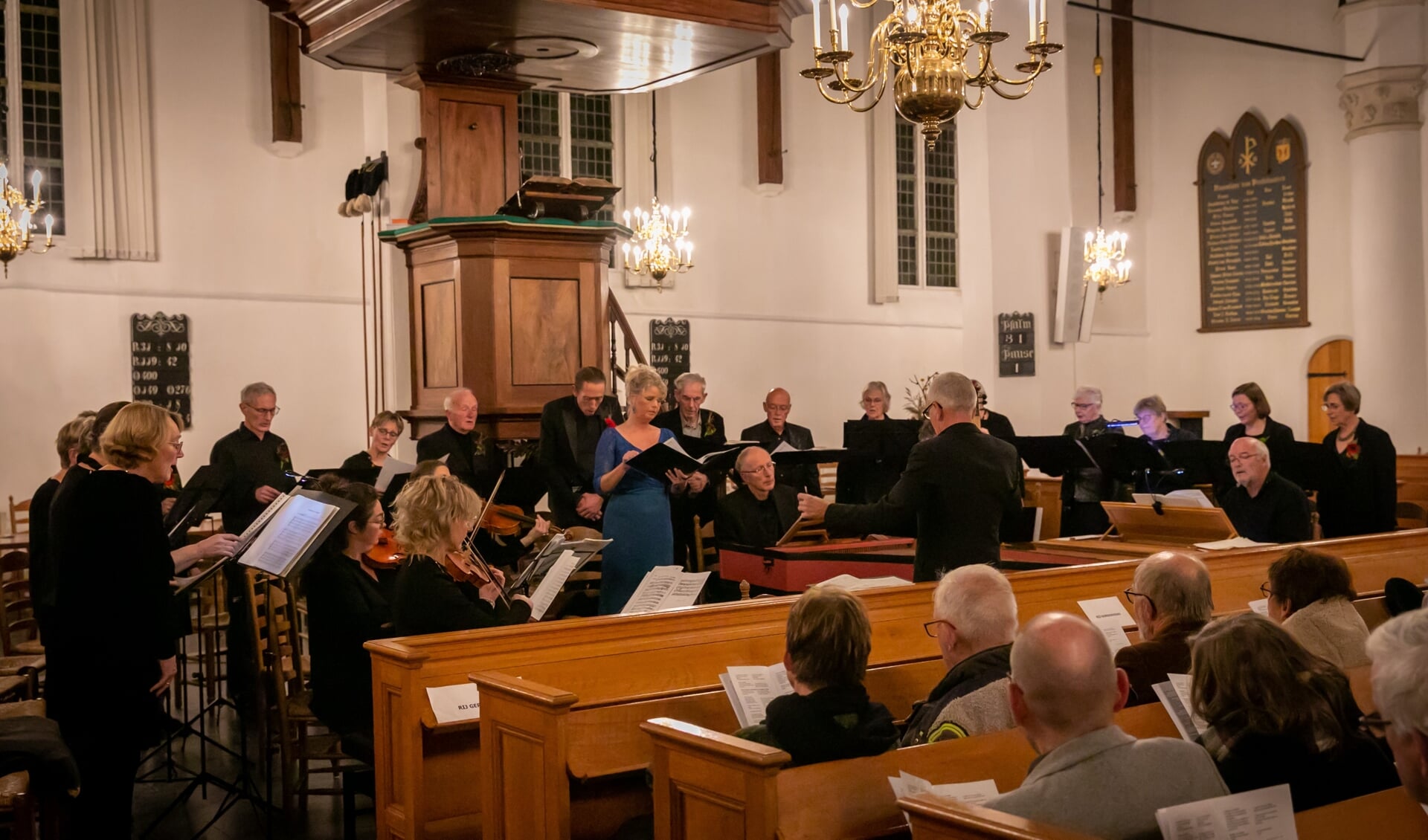 • Het concert verzachtte enigszins de pijn.