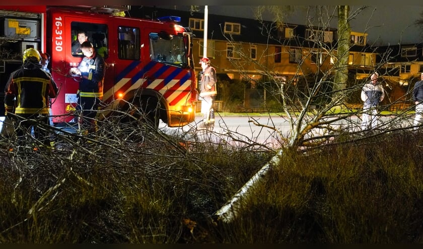 <p>Een boom waaide woensdagavond om op de Plaswijckweg.</p>