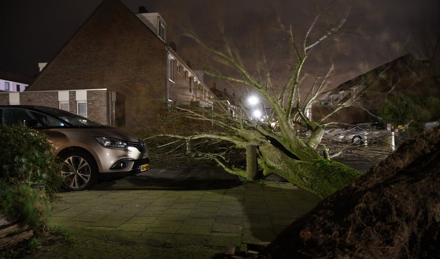 • Op de Bakboordlaan in Woerden ging een boom tegen de vlakte.