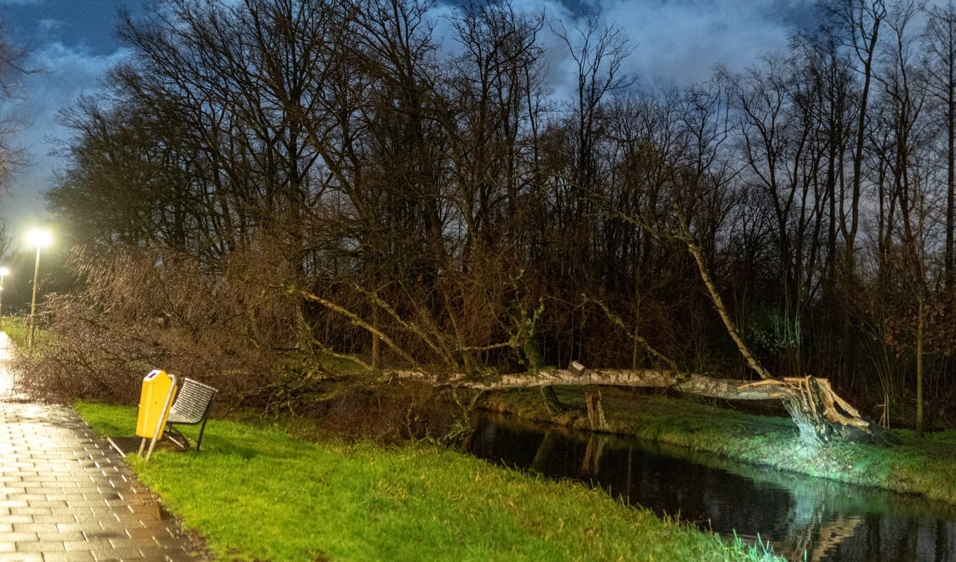 • Omgevallen boom langs de Van Eesterensingel.