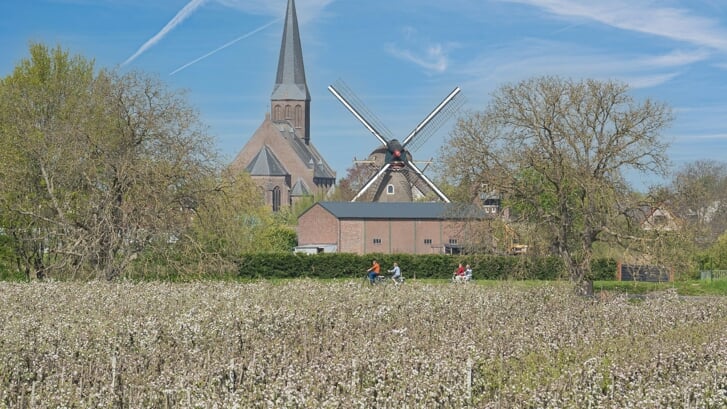 • De Heilige Kruisverheffingskerk in Beesd op de achtergrond. 