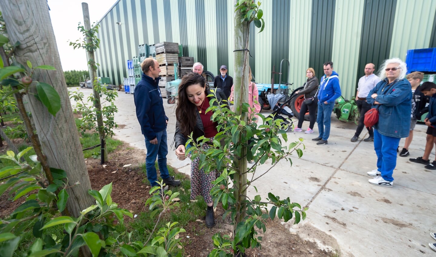 • Open dag bij de Fruitconnaisseur in Leerbroek