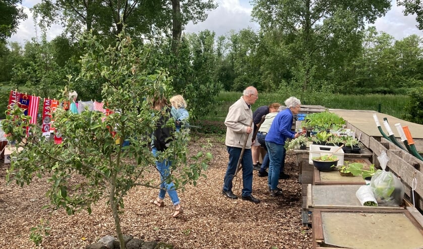 <p>• De Ontmoetingstuin in Park Hitland.</p>