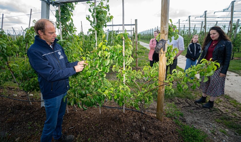 Open dag bij de Fruitconnaisseur in Leerbroek