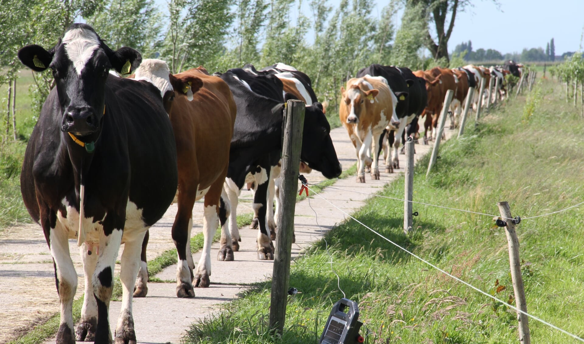 • Momenteel ligt de verantwoordelijkheid voor het beschermen van vee tijdens een watersnood bij de boer zelf.