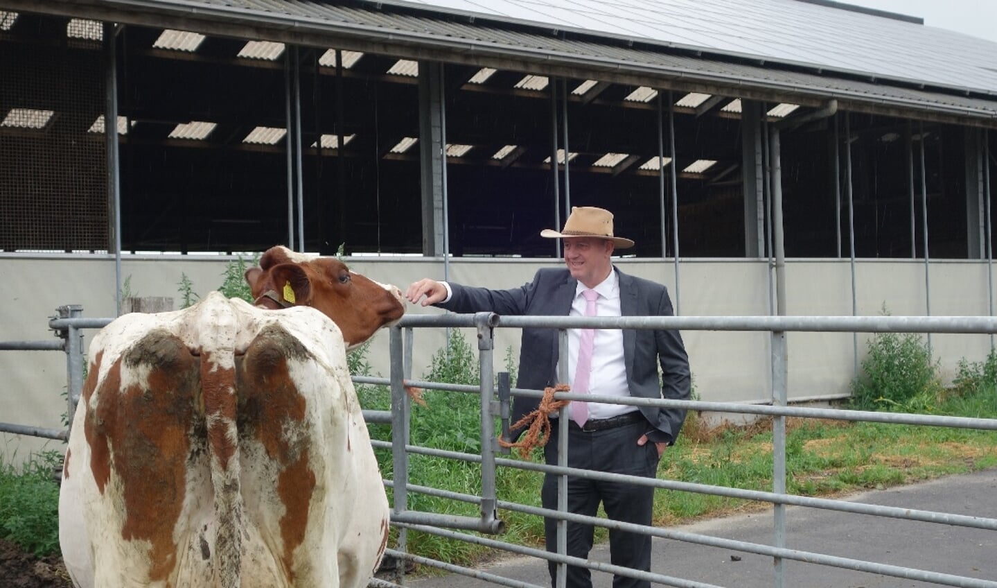 • Wethouder Ton van Maanen is nu vooral druk met het stikstofprobleem.