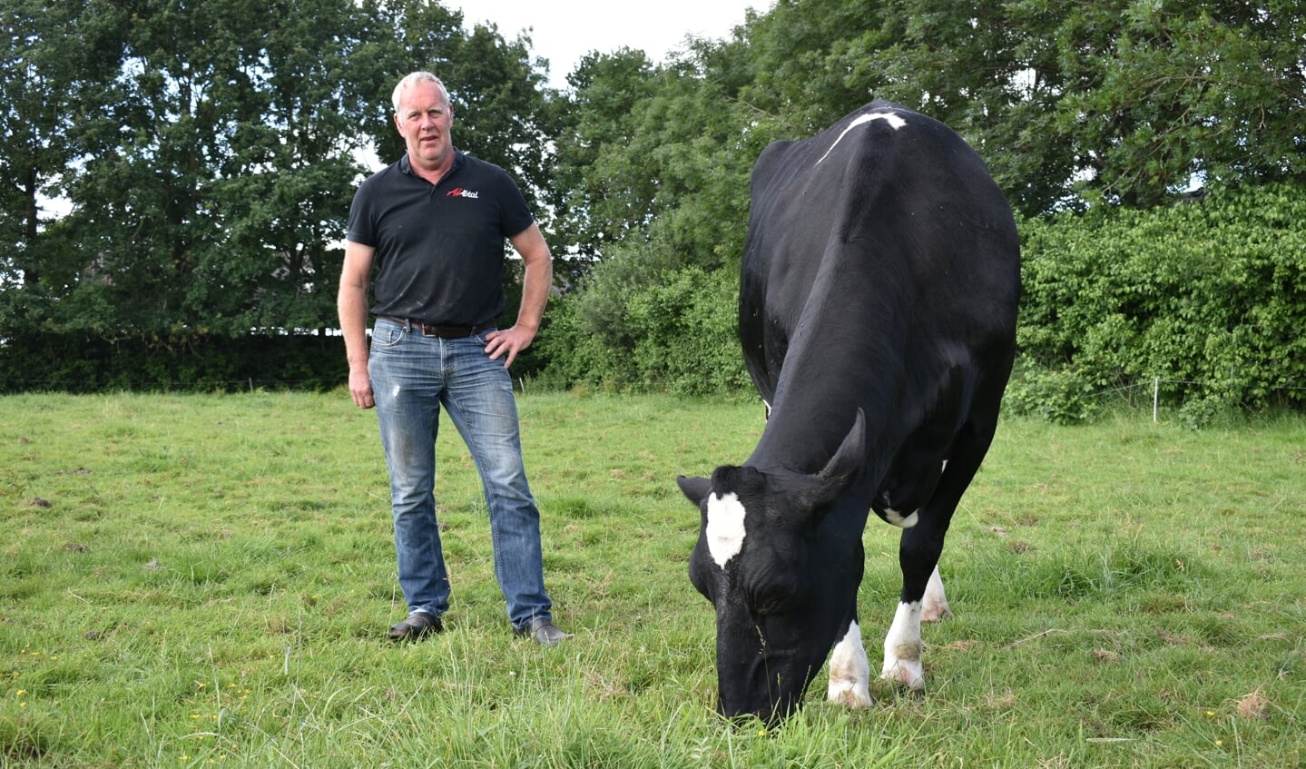 • Jan Kolff met 'Koe van het Jaar' Carf Emeraude.