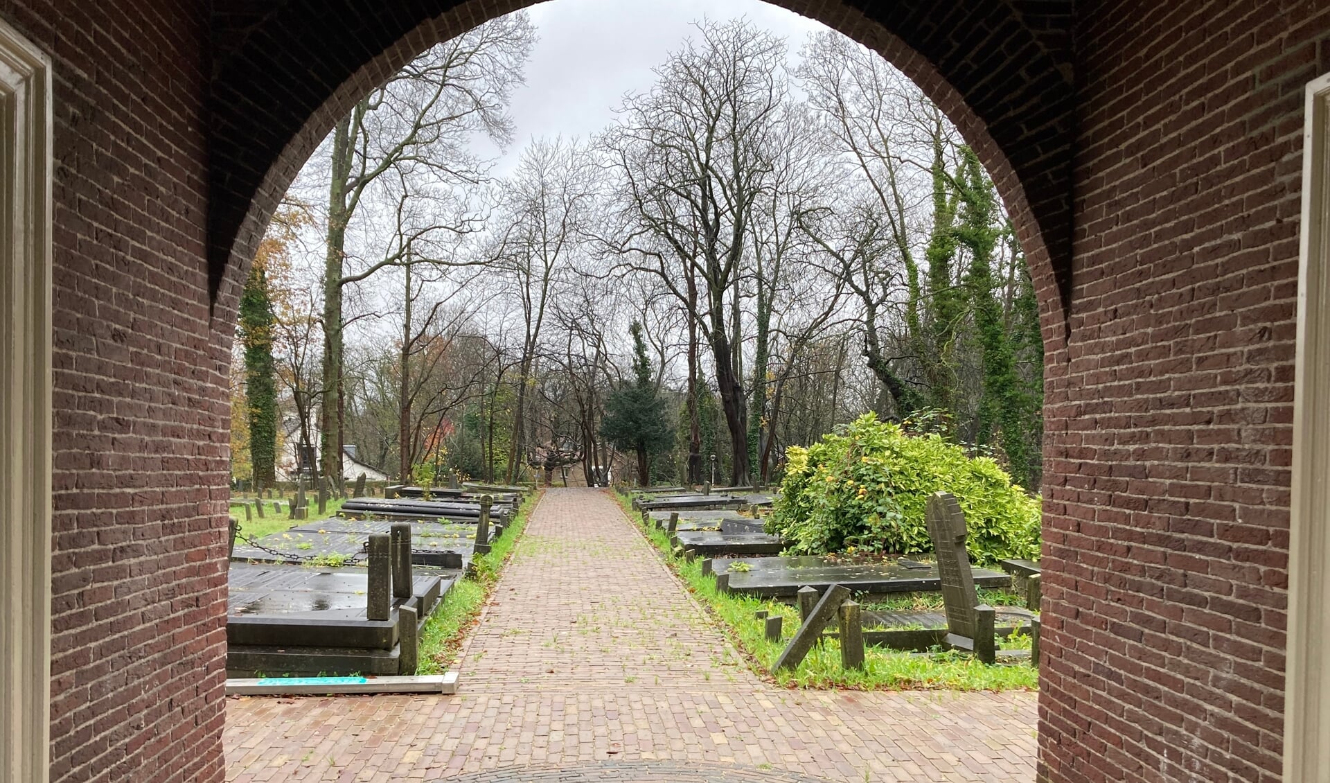 • Ingang van de begraafplaats aan de Hogewal.