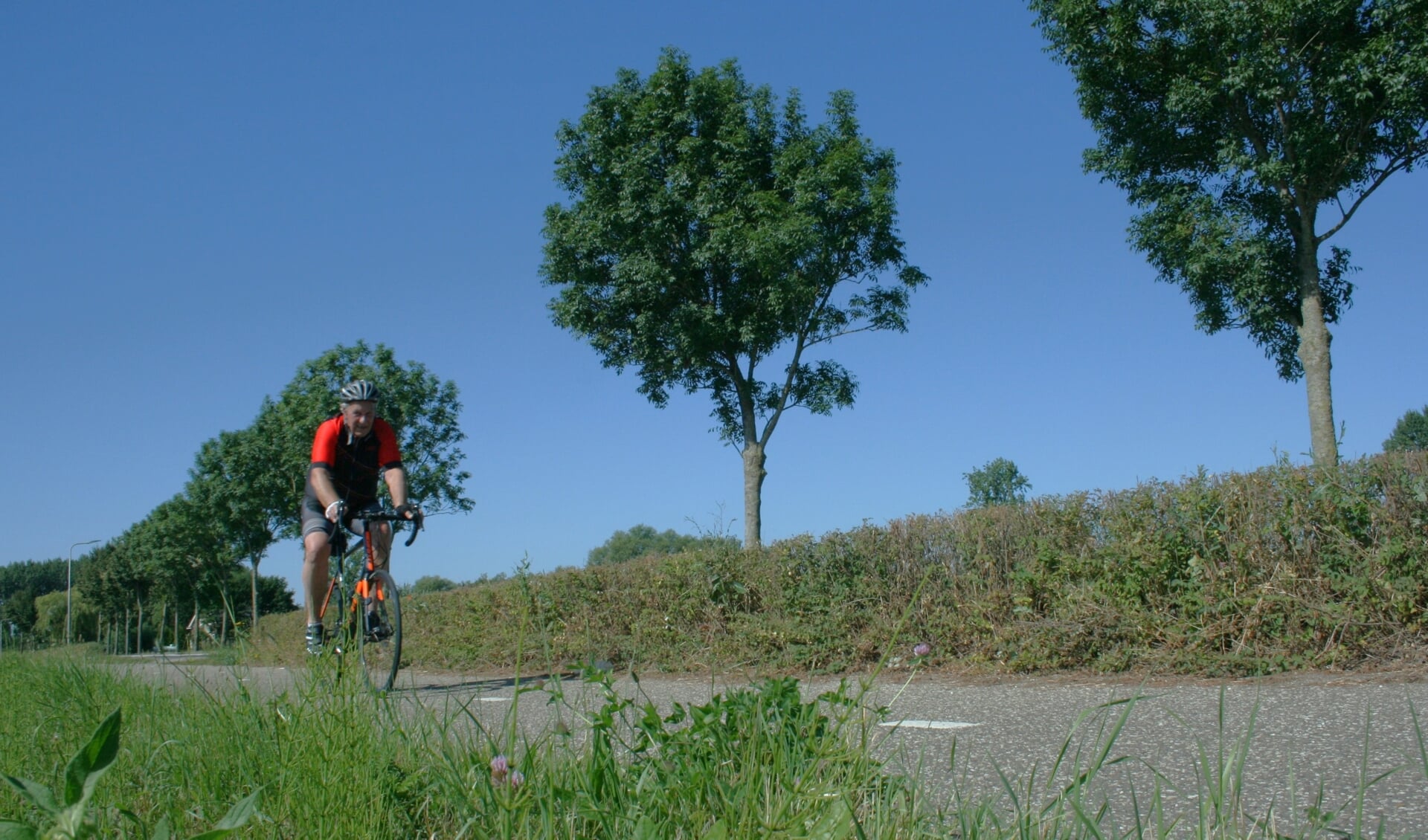 • De Vuelta-renners razen op zaterdag 20 augustus via de Vogelenzangseweg (foto) en de rotonde in de Provincialeweg N320 Lienden binnen.