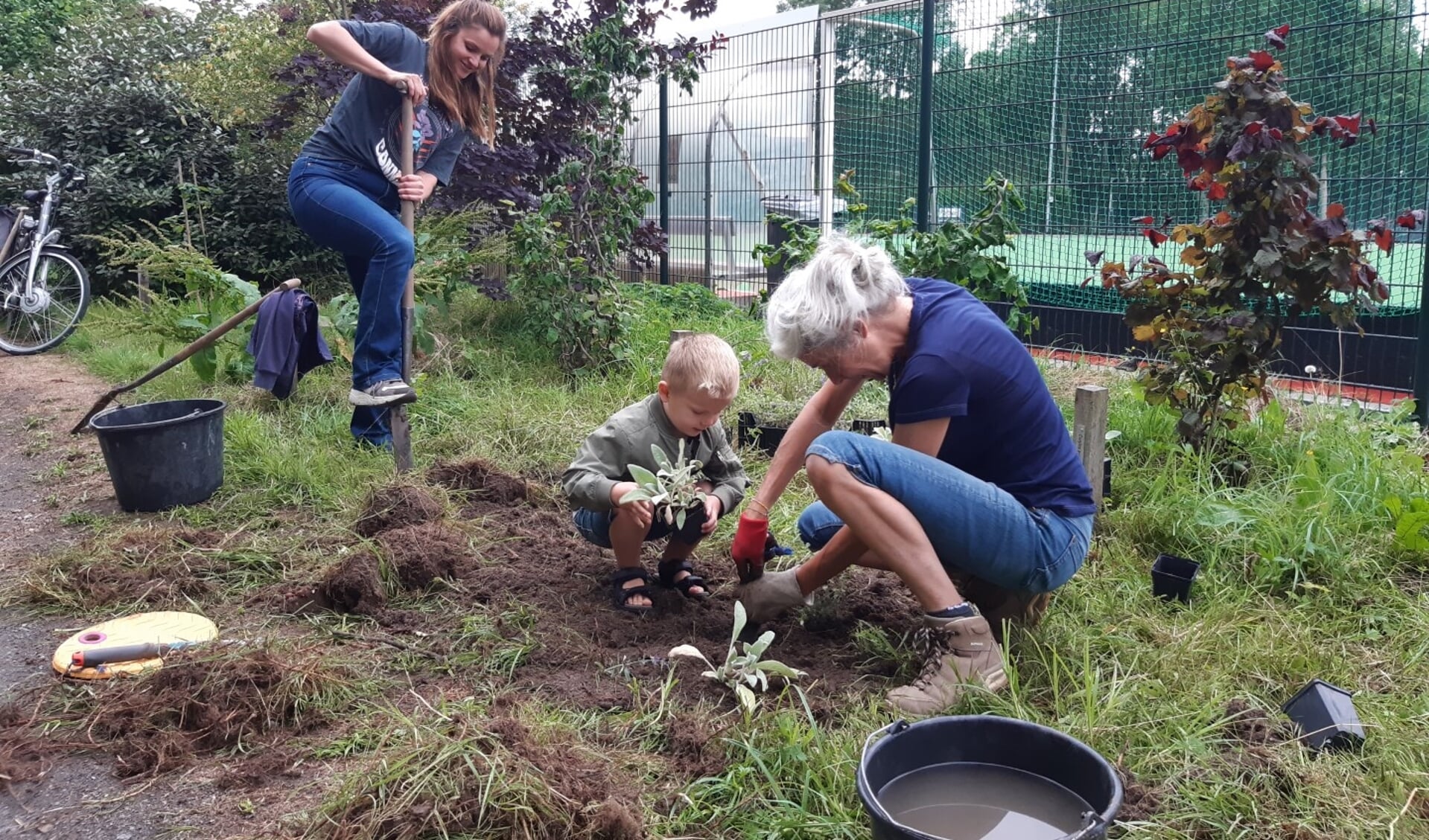 • Vrijwilligers van KNIJ – met kinderen – hebben onverkocht groen van Intra geplant langs de hazelaarroute.